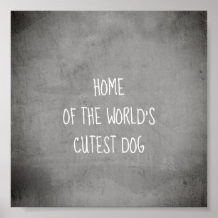 drôle collage chien citation de chien poster art