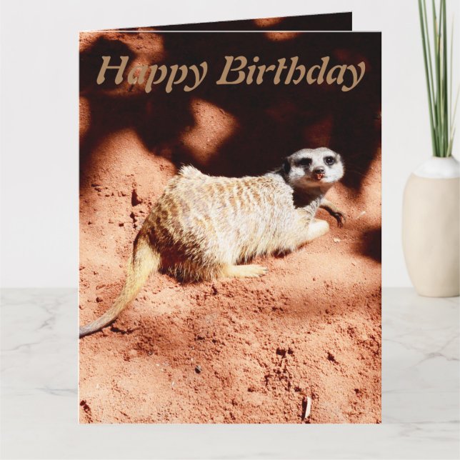 Drôle creusement Meerkat Jumbo carte d'anniversair (Devant)