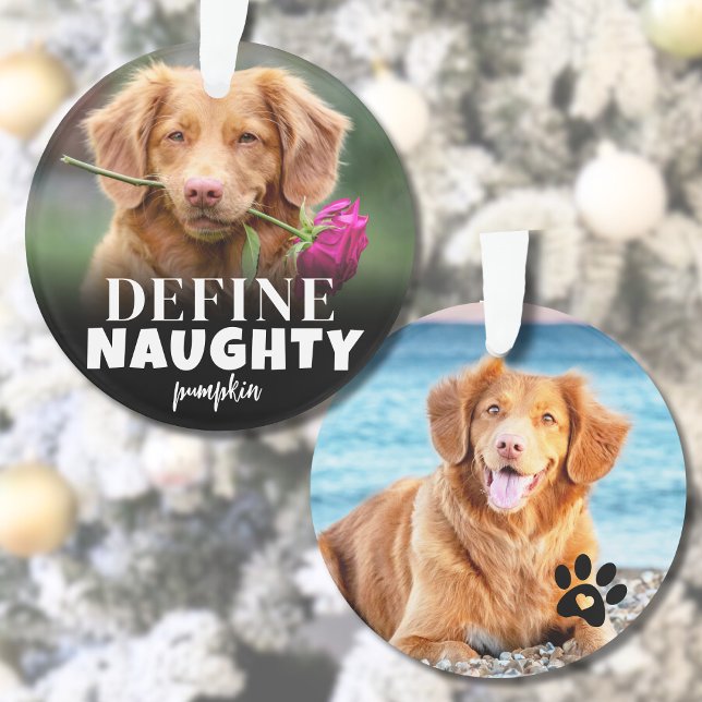 Drôle de 2 Photo Animaux de Noël (Cute Define Naughty Dog Photo Ornament)