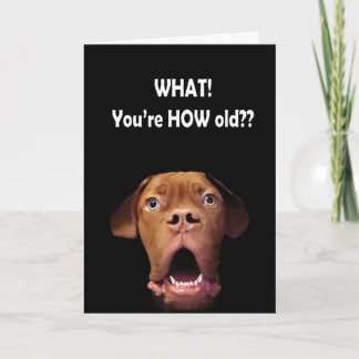 drôle de carte d'anniversaire de chien surprise