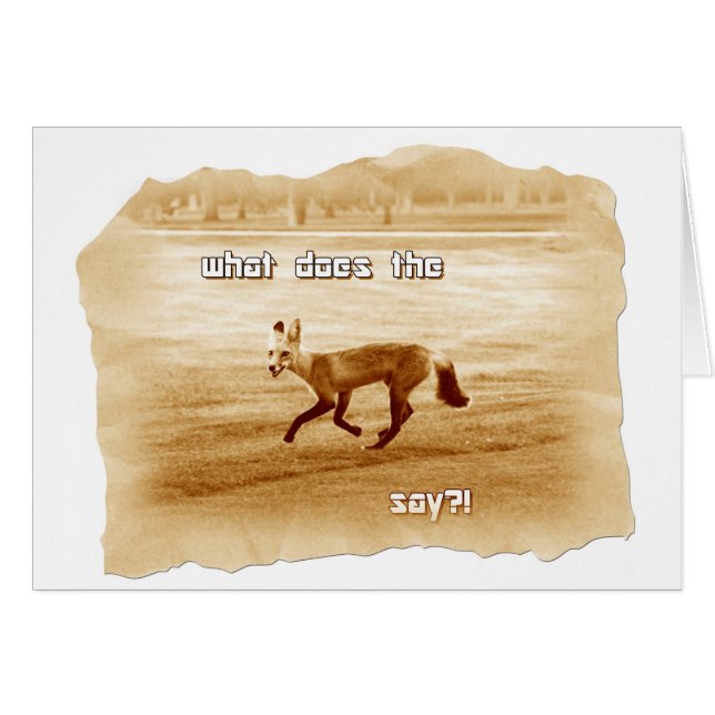 drôle de ce que dit le renard (Devant horizontal)
