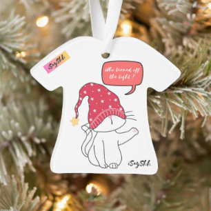 drôle de chat, qui a éteint la lumière ?