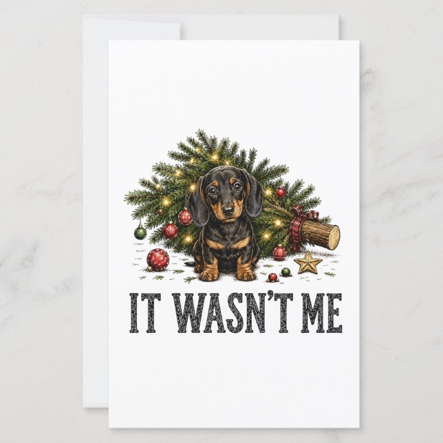 Drôle de Dachshund Noël Ce n'était pas moi (Devant)