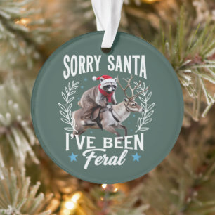 Drôle de Noël Désolé Santa J'ai Été un Raton Laveu
