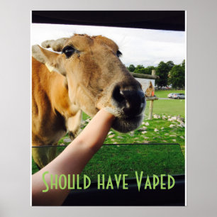 Drôle devrait avoir Vaped poster