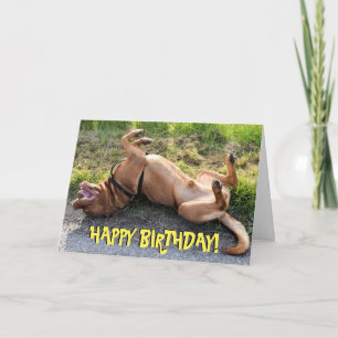 Drôle dogue de bordeaux carte d'anniversaire