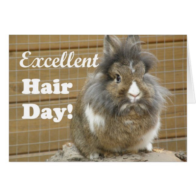 Drôle "Excellente journée des cheveux" pour lapin (Devant horizontal)