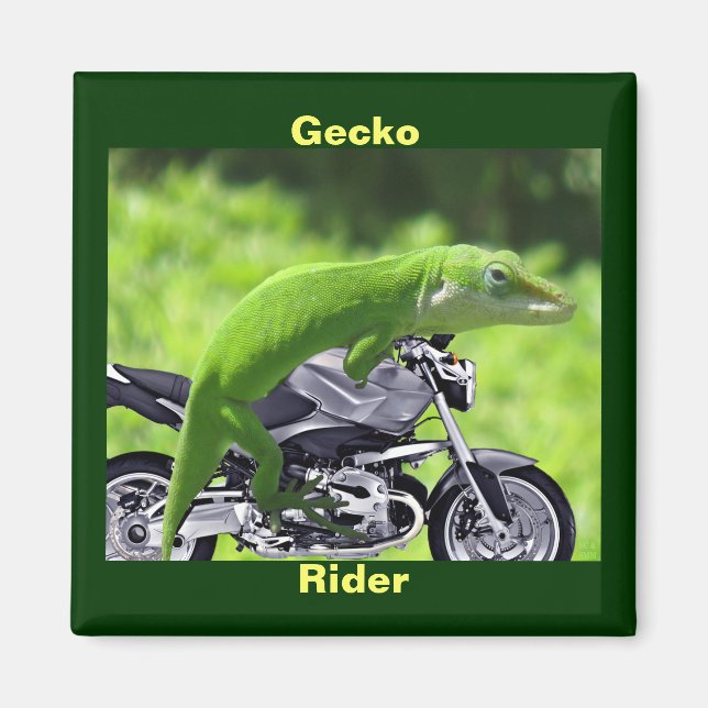 Drôle Green Hawaiian Gecko Rider Magnet (Devant)
