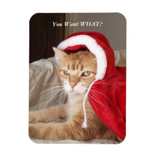 Drôle Grumpy Chat Christmas Magnet Humoristique