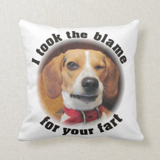Drôle j'ai pris le blâme pour votre coussin de