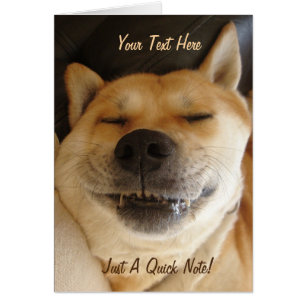 drôle japonaise akita avec un sourire fou photo