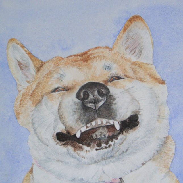 drôle japonaise akita mignon chien souriant amour (Créateur téléchargé)