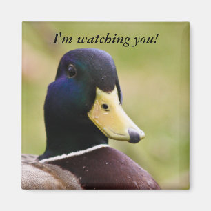 Drôle je vous regarde Duck Fridge Magnet