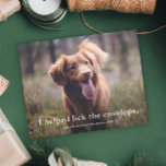 Drôle Lick the Envelope Pet Christmas Card<br><div class="desc">Une drôle de 3 photo avec une carte de Noël avec une simple typographie saluant sur le devant. Le dos a une bonne année de salutation et 2 photos avec message personnel et noms. Cliquez sur le bouton Modifier pour customiser cette conception.</div>