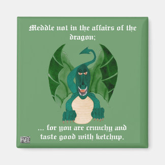 Drôle Magnet Dragon