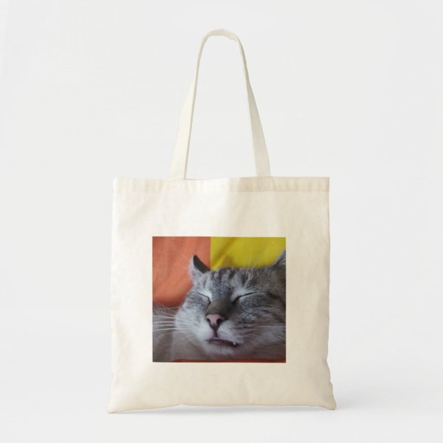 Drôle mignon Sac fourre-tout de chat couché (Devant)