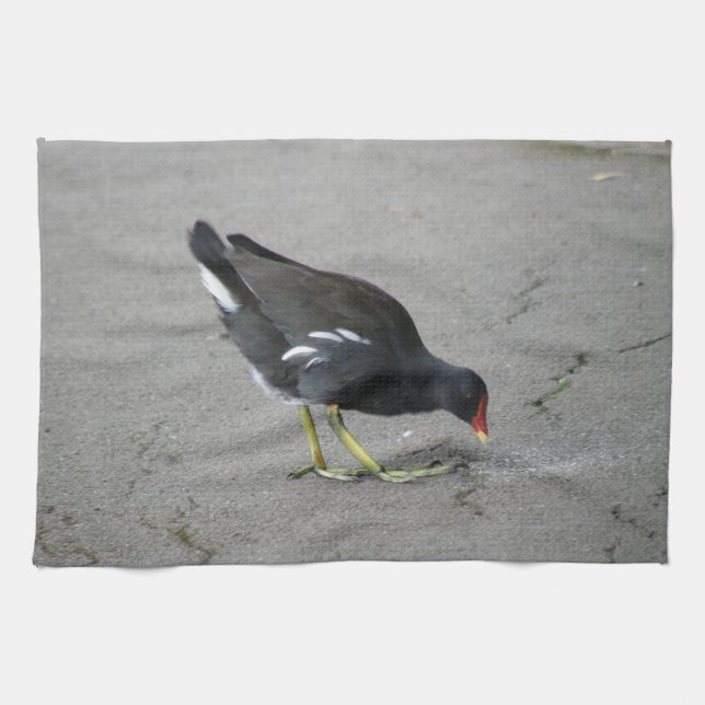 Drôle Moorhen Prenez une serviette de cuisine Bow (Horizontal)