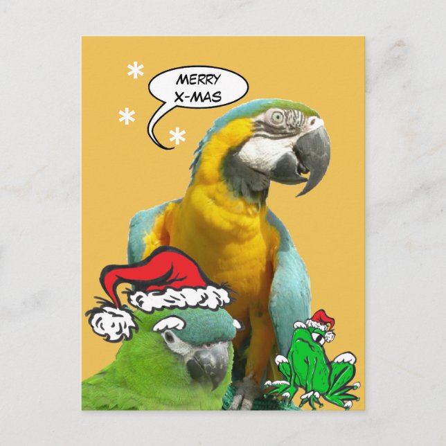Drôle Parrot Joyeux X-Mas Carte postale (Devant)