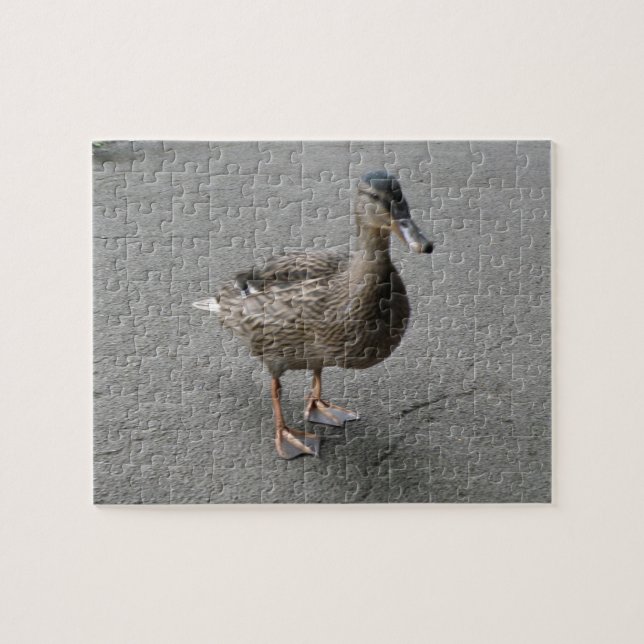 Drôle Puzzle de canard à pattes (Horizontal)