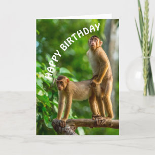 Drôle Singes Joyeux Anniversaire Carte Mince Sale