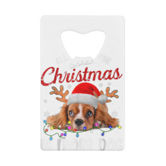 Drôle Tout Ce Que Je Veux Pour Noël Est Plus De Ch