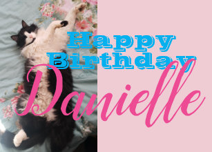 Cartes Humour De Niece D Anniversaire Zazzle Fr