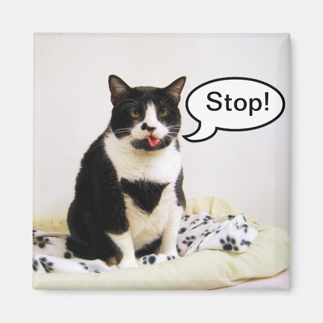 Drôle Tuxedo Chat "Stop !" Magnet (Devant)