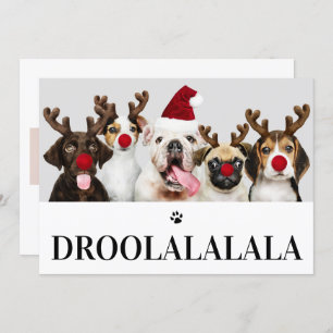 Droolalala Chien Noël 5 Carte photo