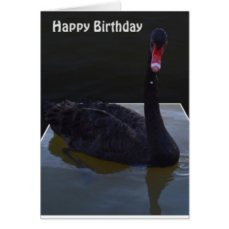 Droplets De Cygne Noir En Étang, Carte Anniversair