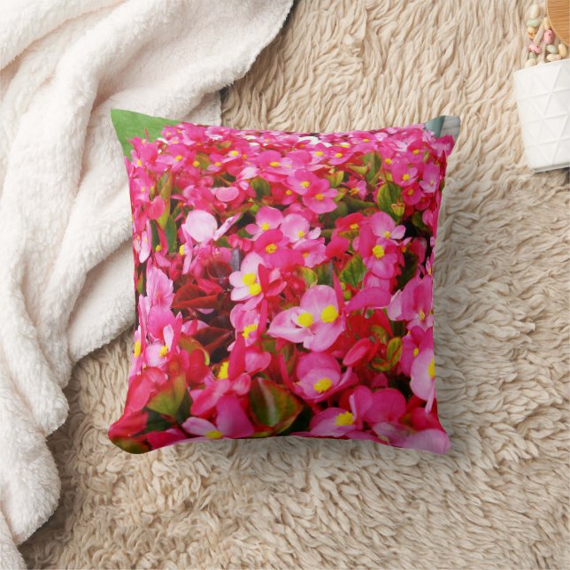 Droplets Roses Du Printemps, Bégonia, Coussin Rond (Couverture)