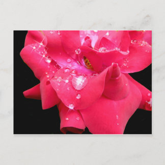 Droplets sur pétales Carte postale