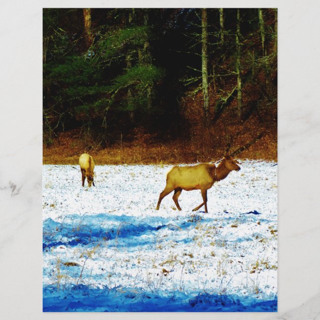 DSC00131.JPG (Devant)