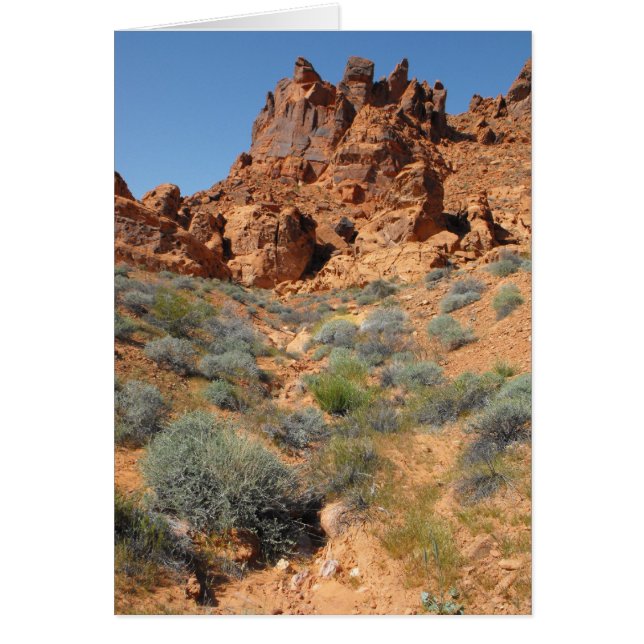 DSCF0344, ~in votre words~ (Devant)