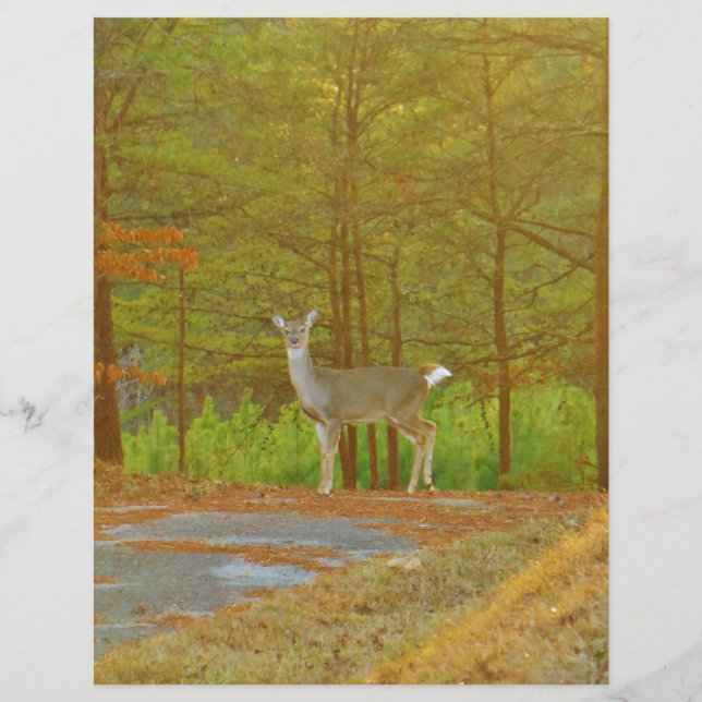 DSCF4041.JPG (Devant)