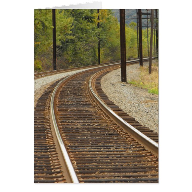 DSCF6914, ~in votre words~ (Devant)