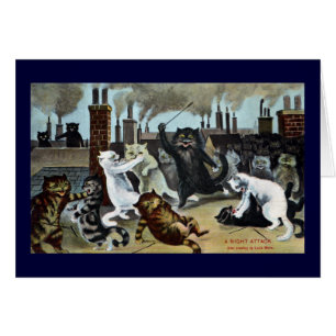 Duc de chats It Out sur un dessus de toit