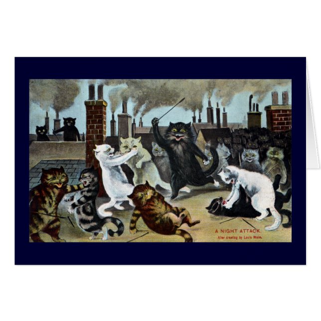 Duc de chats It Out sur un dessus de toit (Devant horizontal)