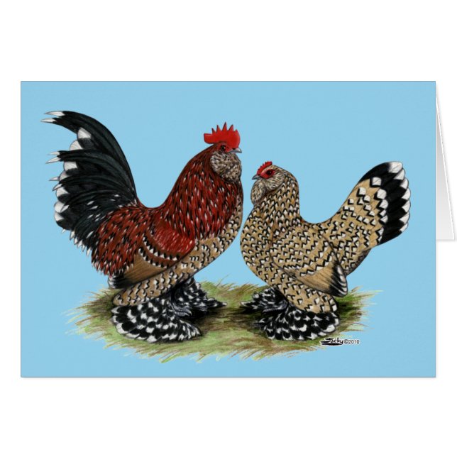 D'Uccle Bantams : Mille Fleur (Devant Horizontal)