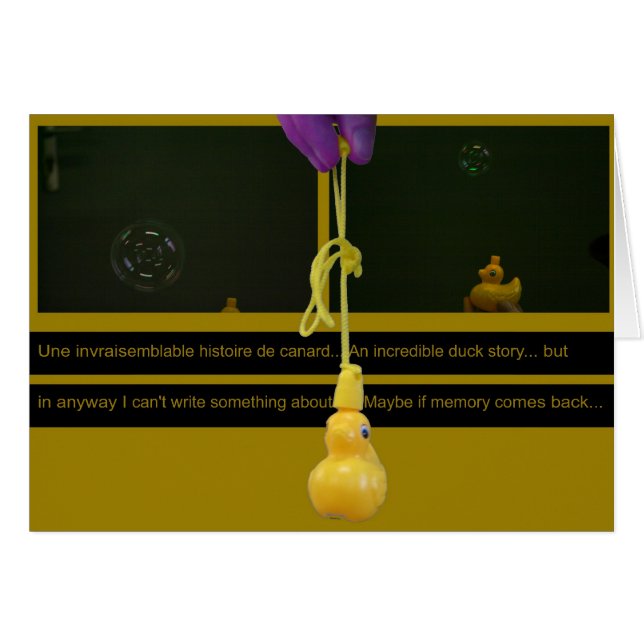 Duck Story ou une histoire invraisemblable (Devant horizontal)