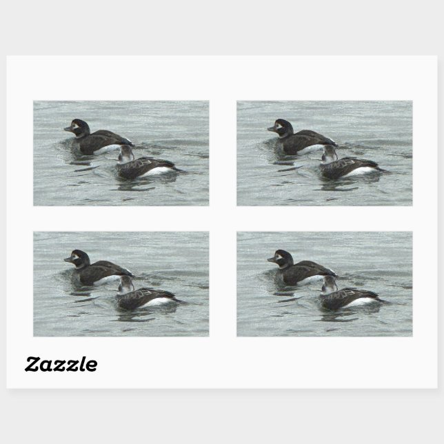 Ducks in Ocean Photo Stickers (Feuille)