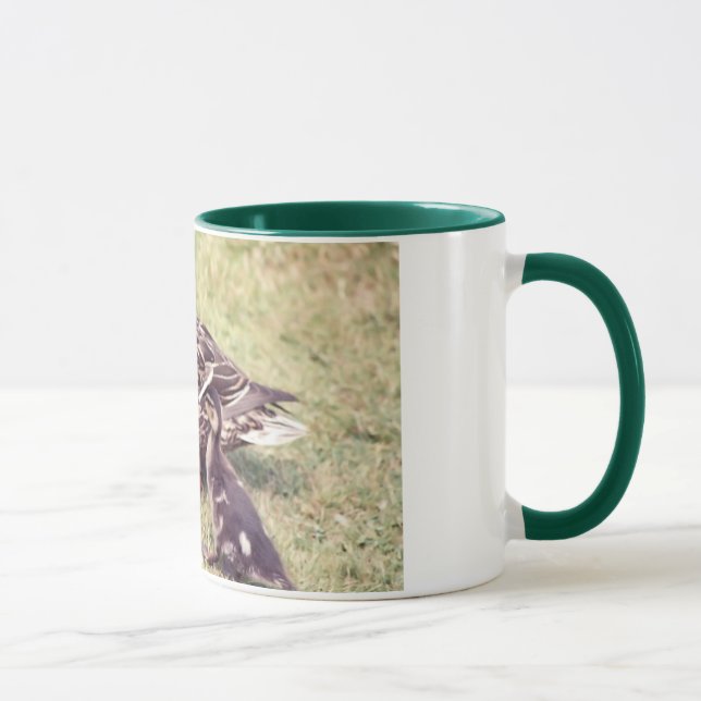 Ducks Mug (Droite)
