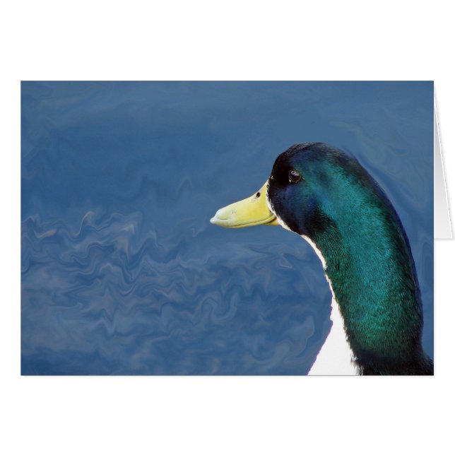 Ducky (Devant horizontal)
