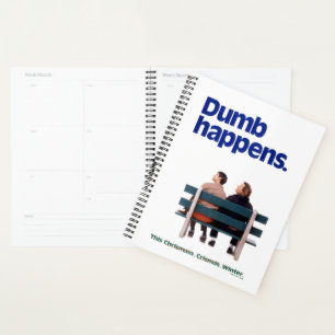 Dumb and Dumber   Des imperfections