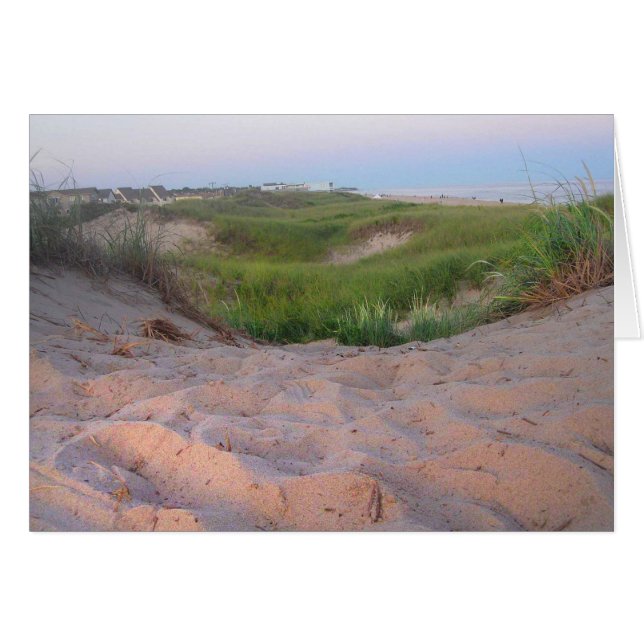 Dunes dans Montauk (Devant horizontal)