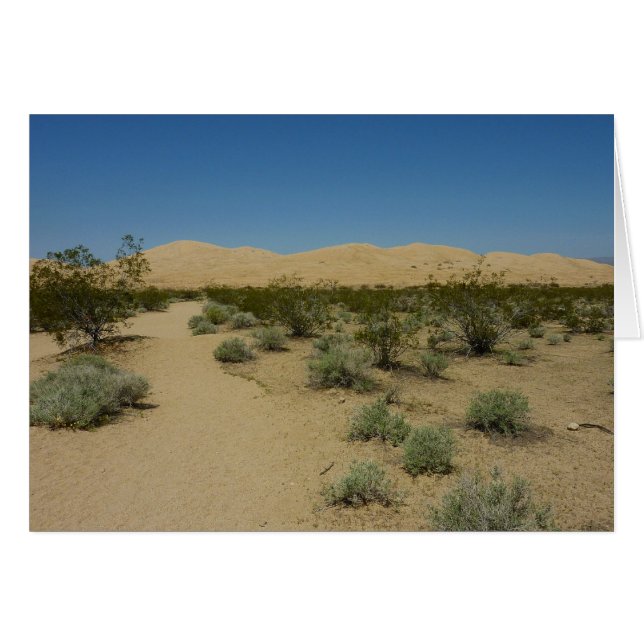 Dunes de Kelso au Mojave National Park (Devant horizontal)