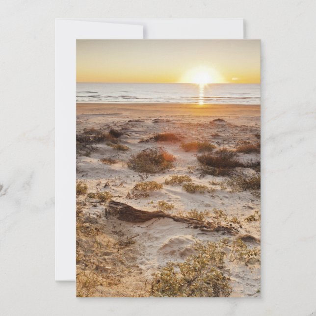 Dunes De Sable De La Plage De Malaquite (Devant)