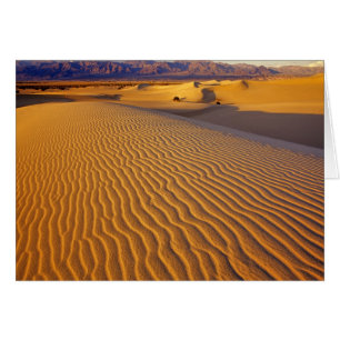 Dunes de sable de Mesquite Flat à Death Valley