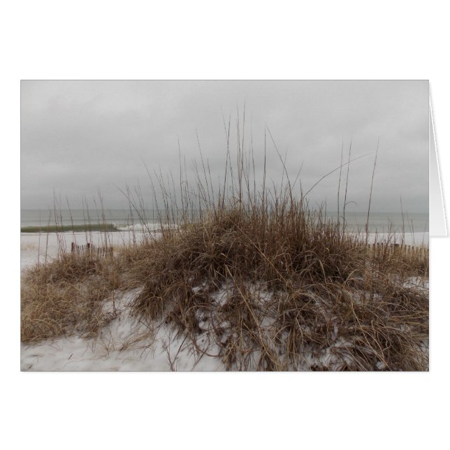 Dunes d'hiver (Devant Horizontal)