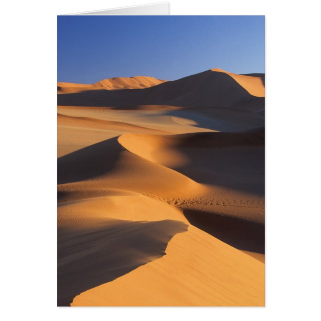 Dunes du désert, Sossusvlei, Namib-Naukluft (Devant)