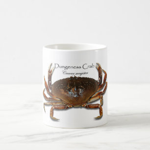 Dungeness vrai, crabe 3D, tasse de blanc du crabe